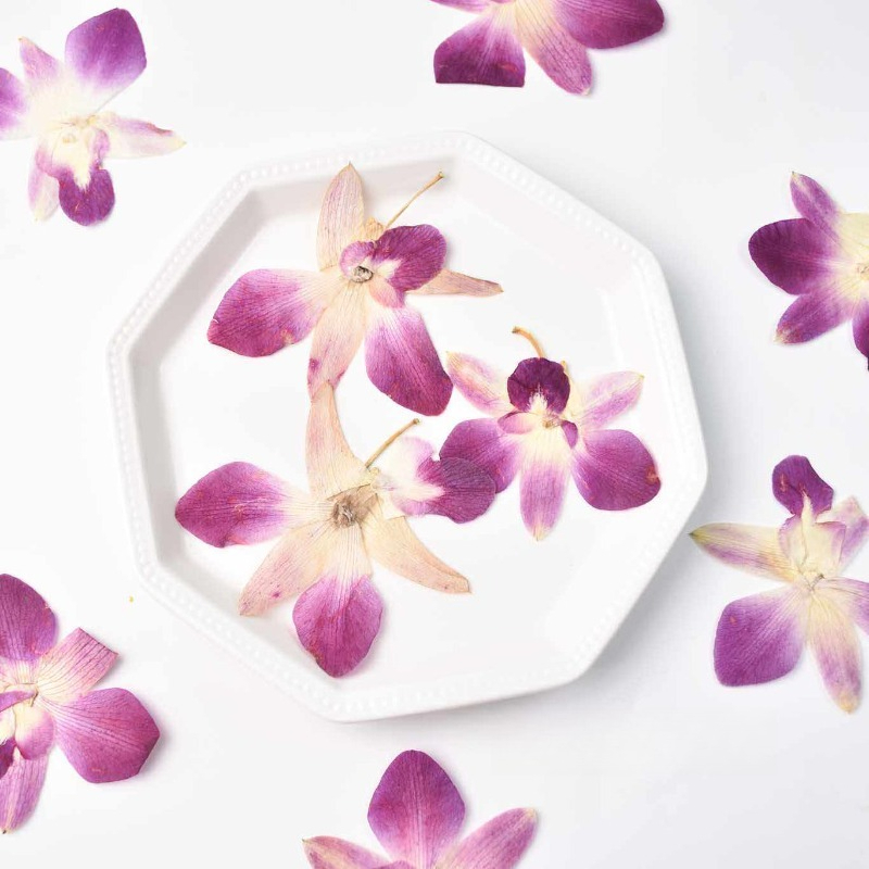 4pcs,Real Pressed Butterfly Or - đánh giá và giá Resin Art Frame