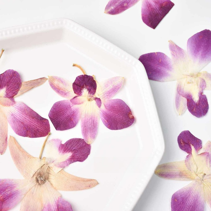 4pcs,Real Pressed Butterfly Or - đánh giá và giá Resin Art Frame